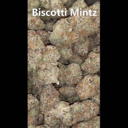 Biscotti Mintz 28.7% THC 80% Indica 20% Sativa Cannabis Flower