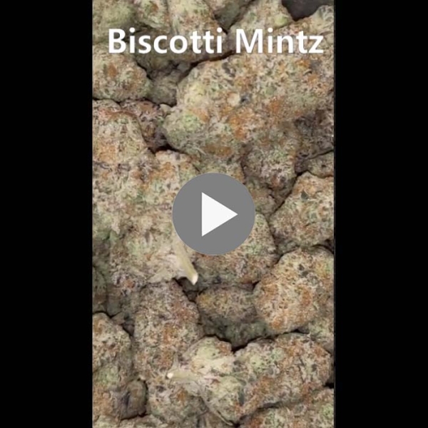 Biscotti Mintz 28.7% THC 80% Indica 20% Sativa Cannabis Flower