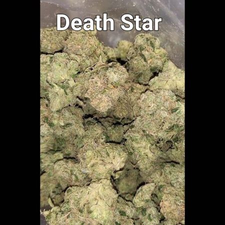 Death Star 30.2% THC 80% Indica 20% Sativa Cannabis Flower