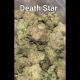 Death Star 30.2% THC 80% Indica 20% Sativa Cannabis Flower