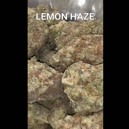 Lemon Haze 30.6% THC 30% Indica 70% Sativa Cannabis Flower