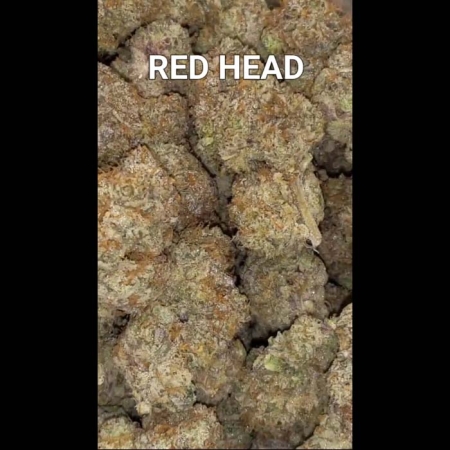 Red Head 29.1% THC 25% Indica 75% Sativa Cannabis Flower