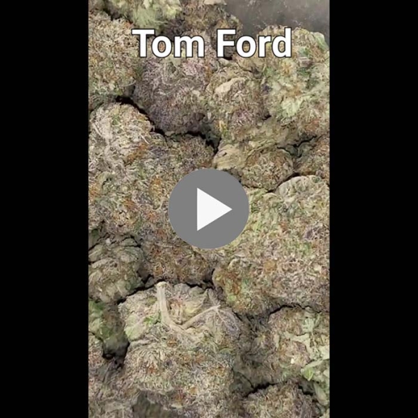 Tom Ford 30.8% THC 80% Indica 20% Sativa Cannabis Flower