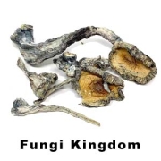 psilocybin is the compound that produces the hallucinogenic effect